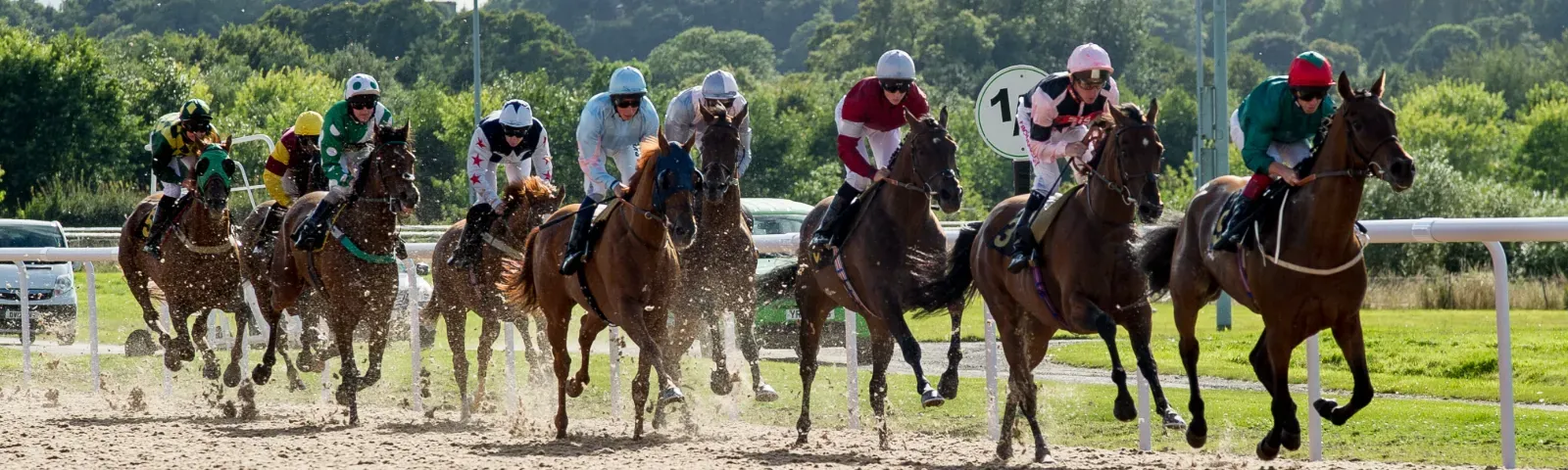 A large field of horses race each other down the track at Wolverhampton.