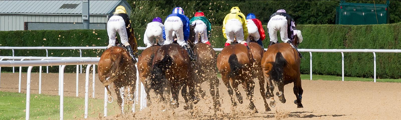 Horse Racing this Boxing Day