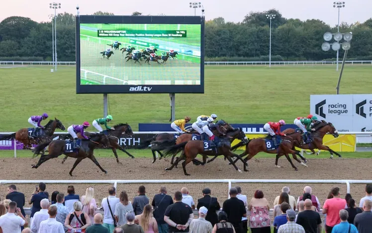 The crowd at Wolverhampton watching the horses race to the finish