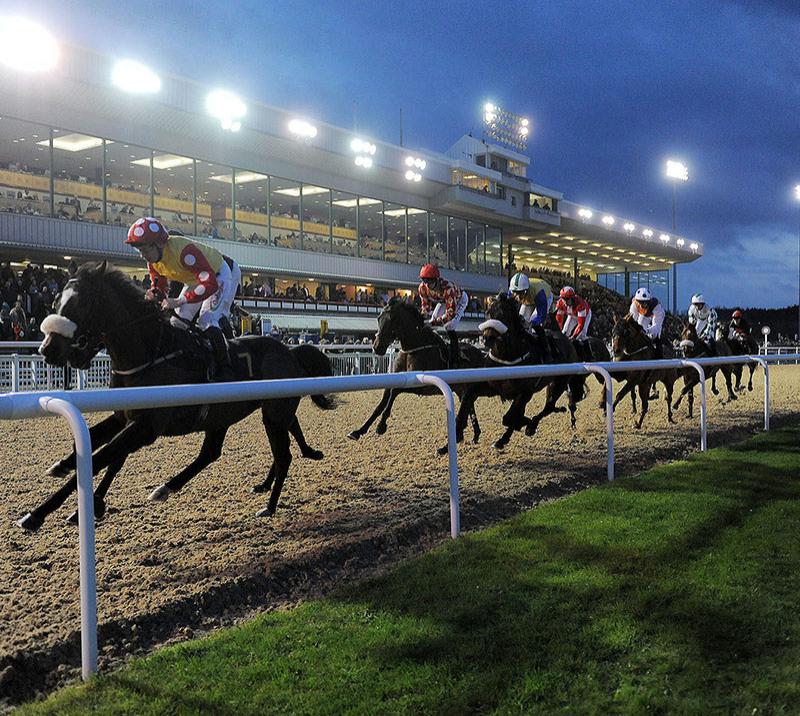 Horses galloping past the grandstand at Wolverhampton Racecourse
