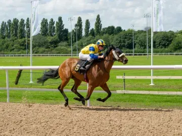 A solo horse and jockey race down the track in front of the vibrant greens of Wolverhampton
