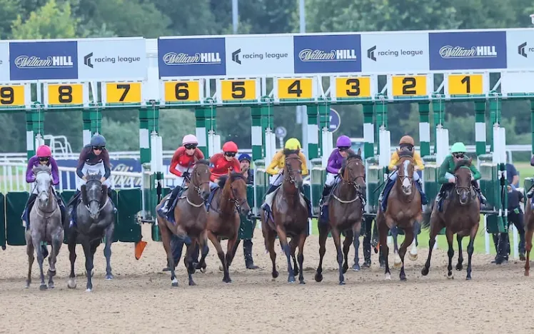 The starting stalls at Wolverhampton