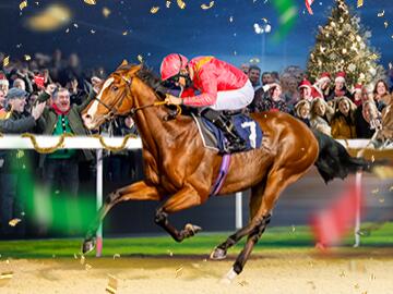 Christmas Party Racedays 