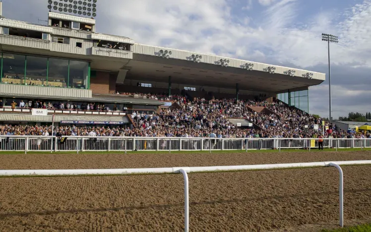 A packed grandstand overlooking the all weather track at Wolverhampton