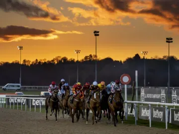 Horses race past the finish post at Wolverhampton Races as the sun sets behind them