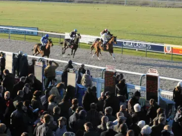 Horses race closely near the finish line in front of the crowd at Wolverhampton