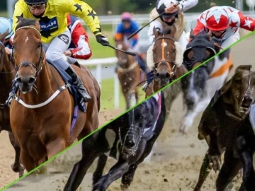 Lady Wulfruna horse and greyhound racing