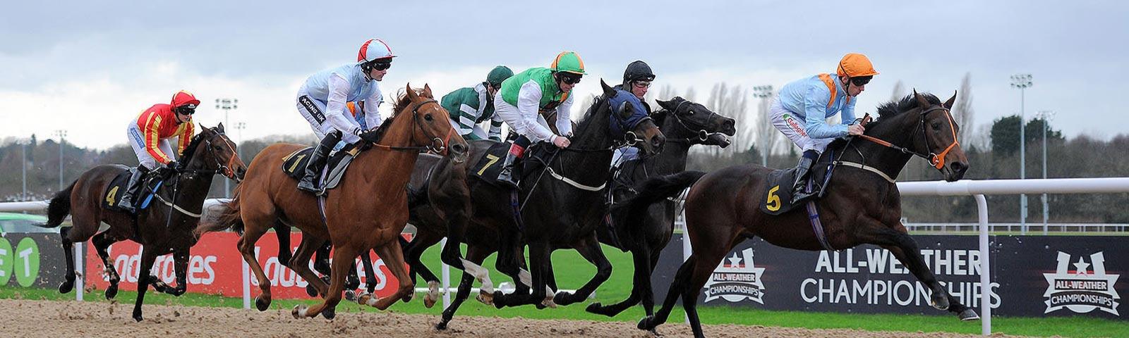 Group of jockeys racing.