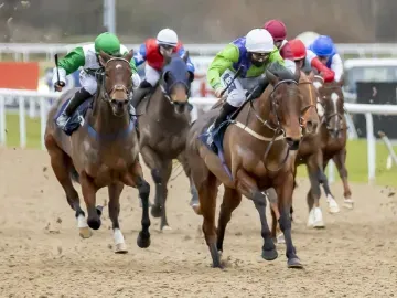 A group of horse and jockeys thundering towards the finish line at Wolverhampton Racecourse