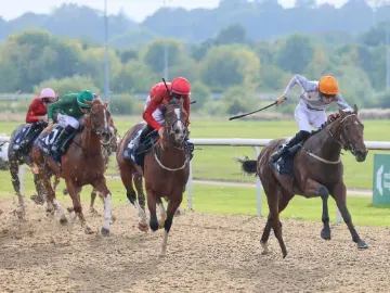 Horse race towards the finish line on a clear day at Wolverhampton races