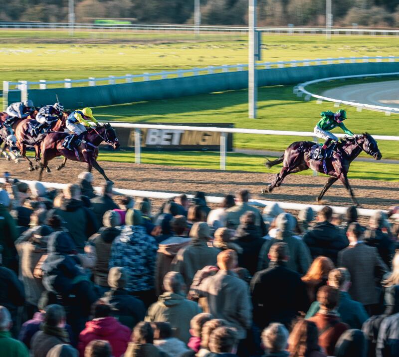 Horses racing on a Raceday at Wolverhampton Racecourse