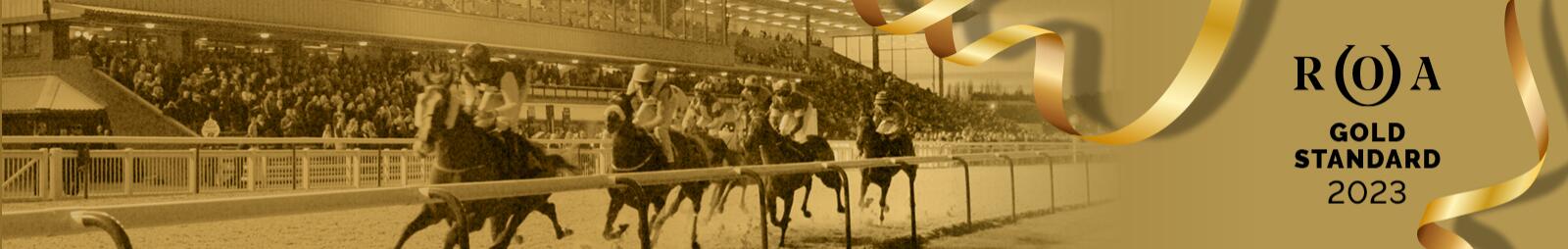 Wolves ROA Gold Standard 2023