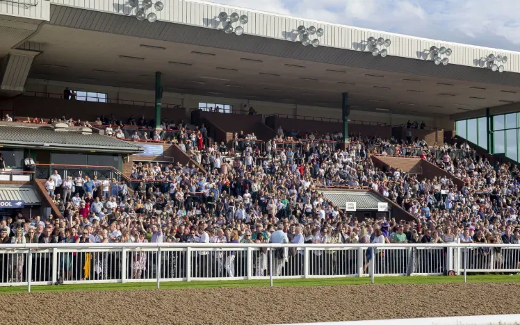 The packed grandstand at Wolverhampton Racecourse