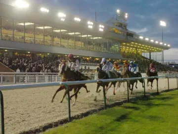 Horses approach the first bend of the track at Wolverhampton under the floodlights