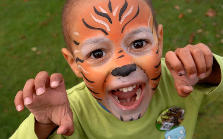 A child with tiger face paint roars for the camera at a family fun day at Wolverhampton Races
