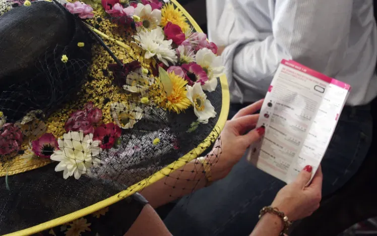 A racegoer in a stunning hat studies the racecard at Wolves races