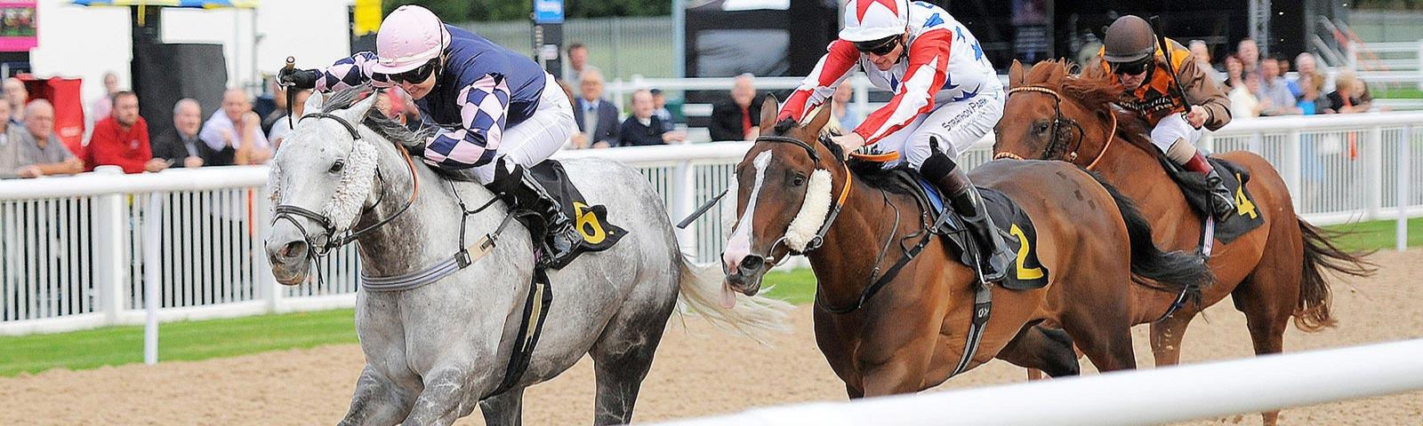 Jockeys racing on the tapeta track at Wolverhampton Racecourse.